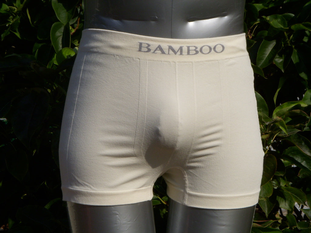 Men's Bamboo Boxer Briefs